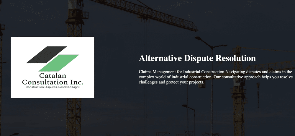 Catalan Consultation website preview